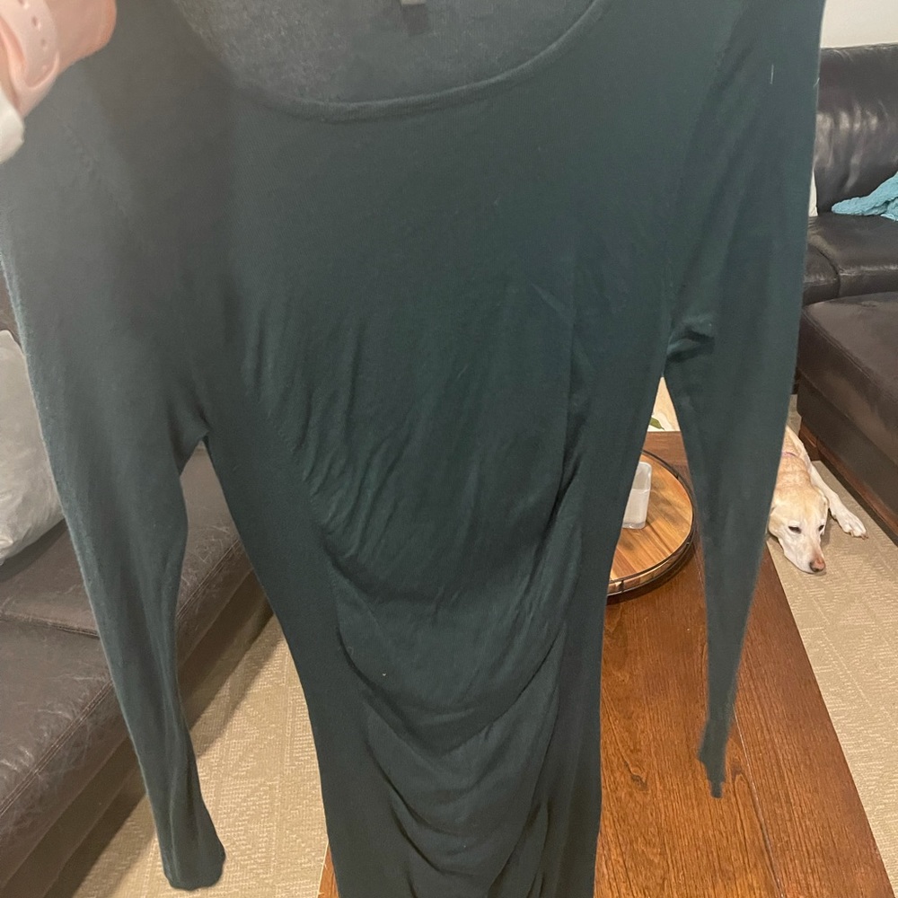 Express Long Sleeve dress.